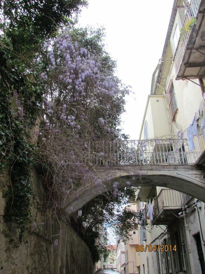 Appartement Bastia Au Pied Du Vieux Port Luaran gambar